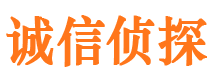 元氏市调查公司